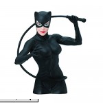 DC Comics Cat Woman Bust Bank Action Figure  B01LVWKXA0